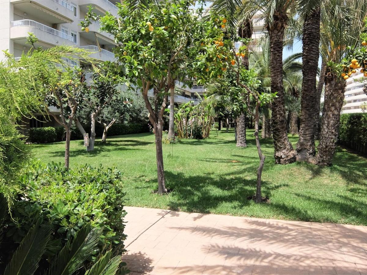 Apartment Parque Mota - Alquiler Solo A Familias *