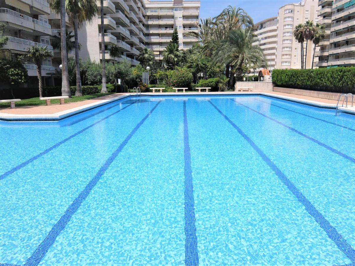 Parque Mota - Alquiler Solo A Familias * Playa de Gandia